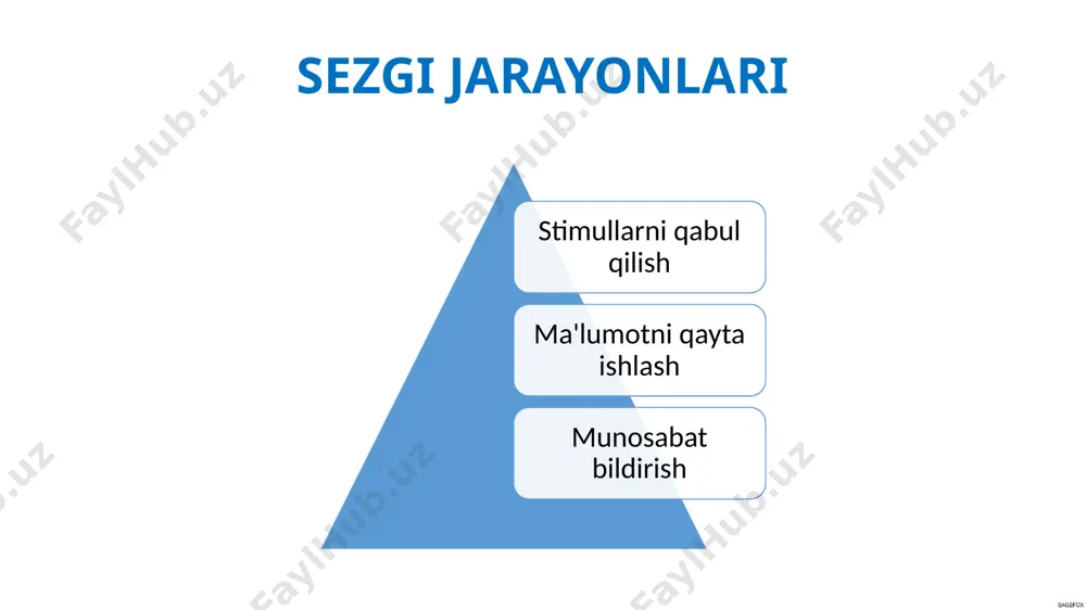 sezgi jarayonlari - Page 3