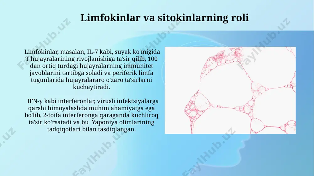 limfa retikulyar tizim biokimyosi - Page 5