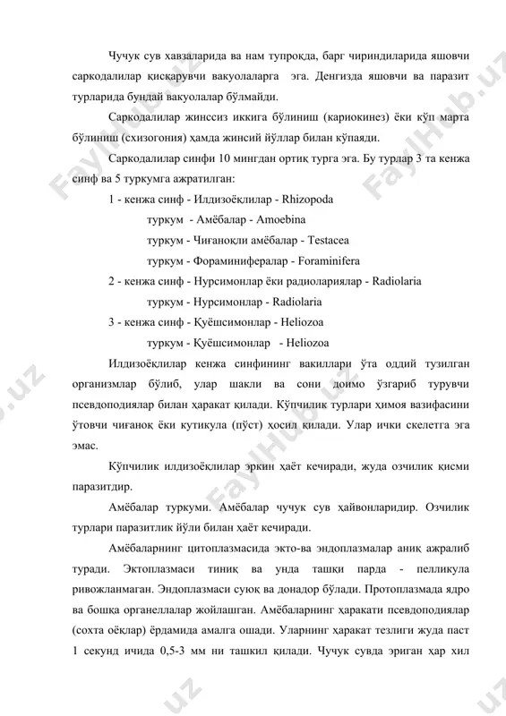 да тарқалган дизентерия амёбаси - entamoeba histolityca ни кўрсатиш мумкин. ушбу амёба одамларнинг йўғон ичагида яшайди ва уларда амёбиоз касаллигини чақиради. дизентерия амёбаси 1875 йил санкт-петербурглик профессор ф.а.леш томонидан биринчи марта аниқланган. одам ичагида дизентерия амёбаси 3 хил шаклда учрайди 1) йирик вегетатив, патогенли тўқимали шаклда - forma magna, 2) ичак бўшлиғида учровчи майда вегетатив шаклда, 3) циста ҳолатида. ҳар бир циста 4 та ядрога эга. одам организмига тушган бундай цисталарнинг қобиғи ичакда эриб унинг ҳар биридан 4 та майда амёбалар ажралиб чиқади. улар ичак бушлиғида бактериялар билан озиқланиб яшайди. бундай амёбалар уларнинг асосий яшаш шаклларидир. агарда ичакда тўқима ҳолатига ўтишга имкон туғдирилмаса майда вегетатив амёбалар цистага айланиб ташқарига ажралиб чиқади. агарда ичакда амёбаларни тўқимали, патоген ҳолатга ўтишига шароит яратилса (организмнинг турли сабабларга кўра ожизланиши), унда майда амёбалар йириклашиб тўқима оқсилларини емирувчи ферментлар ажратиб чиқаради. 1- расм. оддий амёба – amoeba proteus: 1-ядро; 2-ҳазм вакуоласи; 3-қамраб олинаётган озиқа; 4-қисқарувчи вакуола; …