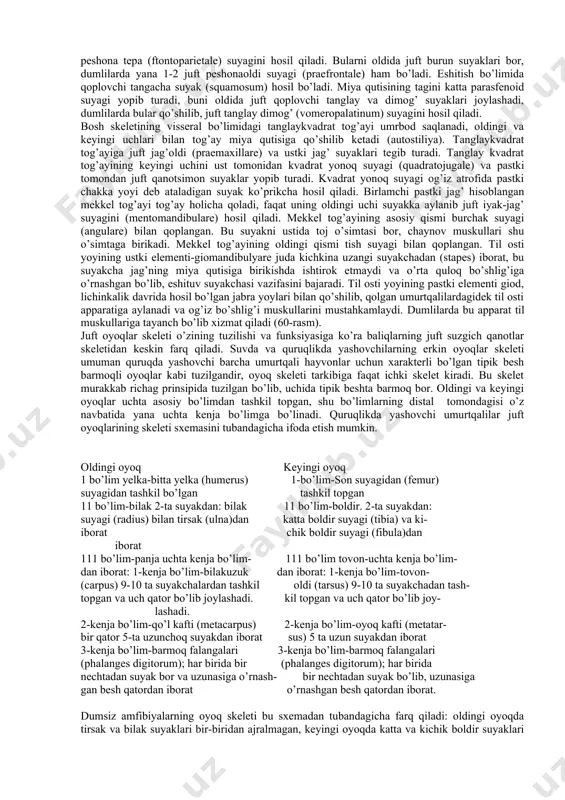 higa ko’ra ilonga yoki katta chuvalchangga o’xshaydi (uzunligi 30-120 sm keladi). gavdasidagi xalqalar tanani ayrim segmentlarga bo’lib turadi. oyoqlari va ularning kamar skeletlari yo’q, dumi ham yo’q, kloakasi tanani orqa tomoniga ochiladi. terisida mayda-mayda suyak tangachalar bo’ladi, umurtqasi amfisel. ko’zlari murtak holida, nog’ora pardasi bo’lmaydi, buning aksicha hidlov organlari kuchli taraqqiy etgan. urug’lanishi ichki bo’ladi va shu munosabat bilan erkaklarining kloakasi bo’rtib chiqib, kopulyativ organ vazifasini bajaradi. bu belgilarni hammasi chervyagalarning yerni kovlab yashashga moslashishi hisoblanadi. afrika, osiyo va janubiy amerikaning tropik nam joylarida tarqalgan. asosan yer tagida hayot kechiradi (55 – rasm, 3). chervyagalar hasharotlar, chuvalchanglar va tuproqda yashovchi boshqa umurtqasiz hayvonlar bilan ovqatlanadi. ularning ko’payishi suvga unchalik bog’liq emas. chervyagalar tasodifan suvga tushib qolsa cho’kib ketadi. tuxumlari suvdan tashqarida taraqqiy etadi. ba’zi turlari, chunonchi, seylon ilon-balig’i (ichtyophis) qo’ygan tuxumlarini gavdasi bilan o’rab oladi. nasl uchun qayg’urish hodisasi deryali barcha chervyagalarda namoyon bo’ladi. suvda yashaydigan chervyagalar tirik bola tug’adi. …