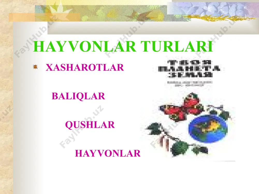qanday hayvon turlari mavjud? - Page 2