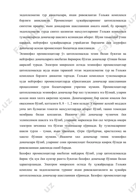 кроқ бўлиб (катталиги 1, 3 мкм гача), уларнинг майда зарралардан ёки ламелляр тузилмалардан иборат эканлиги аниқланган. промиелоцитлар кайси турга мансуб эканлигидан катъий назар, йирик овалсимон ёки ботиқликка эга бўлган ядрога эгадирлар. ядро хроматини миелобластларникига нисбатан анча зичроқ жойлашган бўлиб, ядро мембранаси остида зичлашган қават ҳосил қилади. митохондриялар промиелоцитда кам сонли ва думалоқ шаклга эга бўлиб, уларнинг матрикси донадор модда билан тулиб туради. промиелоцитлардан миелоцитлар ҳосил бўлади. миелоцитлар бироз майдароқ бўлиб (10 – 17 мкм), улар ҳам худди промиелоцитлар сингари ўз цитоплазмасидаги донадорликнинг тузилиши ва буялиш хусусиятларига кара буч турга – нейтрофил, эозинофил ва базофил миелоцитларга бўлинади. нейтрофил миелоцитлар цитоплазмаси промиелоцитларга нисбатан анча суст базофил буялиб, романовский усулида кук- кизгиш тусда бўлади. электрон микроскопик ва цитохимик текширишлар одамнинг суяк кумигидаги нейтрофил миелоцитларида асосан икки хил доначалар мавжудлигини ва бу доначалар узаро ферментатив хоссалари билан фарқланишини кўрсатади. нейтрофил миелоцитларда ҳам промиелоцит босқичидаги каби яхши тараккий этган эндоплазматик тур ва гольжи комплекси жойлашган …