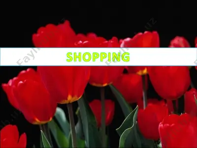 shopping — PPT