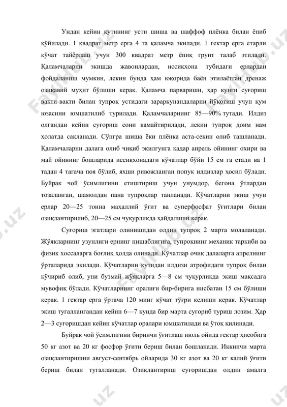 оққанот ва алеуродит ҳашаротлари билан зарарланади. бу ҳашаротлар ўсимлик баргларининг орасига тухум қўйиб, унинг сокларини сўради ва катта зарар етказади. касални олдини олиш мақсадида фосфорорганик препаратлардан антио ва актеликнинг 2% ли суюқлиги билан ўсимликлар ишланади. буйрак чой ўсимлигининг хомашёси унинг барги ва кейинги вақтларда бутун ер устки қисми ҳам ишлатиладиган бўлган. унинг хомашёсини июнь ойининг ўрталаридан ҳар 15—20 кунда совуқ кунлар бошлангунча қўлда терилади. мавсум давомида яхши парвариш қилинган майдонлардан 2 тоннага яқин қуруқ хомашё йиғиб олиш мумкин. маҳсулот тайёрлаш. ўсимлик новдасининг учки қисмини 2 жуфт барги билан бирга (флеш) йил бўйи беш-олти марта қўлда териб олинади, сўнгра қалин қилиб, салқин ерга 24—36 соат (ферментация қилиш учун) ёйиб қўйилади. маълум вақт ўтгандан сўнг тезлик билан юпқа қилиб ёйиб, қуёшда ёки 30—35°с ҳароратда қуриткичларда қуритилади. нашасимон кендир — apocyni cannabini нашасимон кендир — apocynum cannabinum l.; кендирдошлар — apocynaceae оиласига киради. нашасимон кендир кўп йиллик, бўйи 1—1,5 см га етадиган ўт …