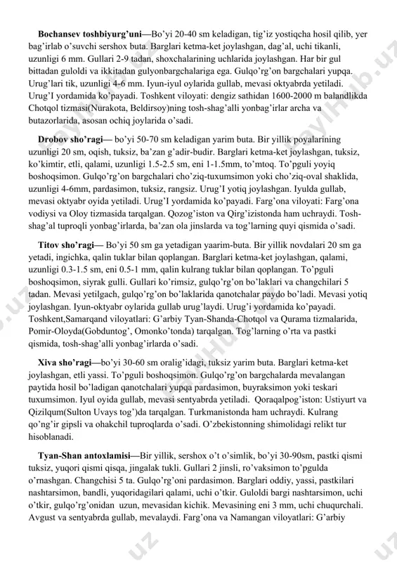 tuproqlarida o’sadi. urug’i orqali ko’payadi. merkulovich baliqko’zi— bir yillik o’t o’simlik, bo’yi 10-40 sm, qalin, qisqa, tarvaqaylangan, siyrak,uzun, chalkash, keyinroq kamayib ketadigan tukli. asosidan shoxlangan. barglari etli, qalami, yarim silindrsimon, to’mtoq, guloldi bargi ovalgansimon, qayiqchasimon, gulyonbargchalari va gulqo’rg’onidan qisqa yoki unda teng, chetlari pardasimon hoshiyali. gulqo’rg’on bo’laklari keng nashtarsimon, pushtirang. avgust va oktyabrda gullab, mevalaydi. buxoro viloyati: qizilqumning sho’rxok tuproqlarida o’sadi. qanoti tukli baliqko’z—bir yillik o’t, bo’yi 40-50 sm, qisqa, to’g’ri, chalkash va uzun qalin tukli. shox va barglari navbat bilan joylashgan. poyadagi barglari seret, ingichka qalami, uchi to’mtoq, uzunligi 12mm, eni 1.5 mm, gulyonbargchalari va gulqo’rg’onidan uzun. gulqo’rg’oni 5 bo’lakli, uzunligi 4.7 mm, eni 11mm, mevasi yetilganda o’rtasidan sal pastrog’ida usti tukli qanotchalar paydo bo’ladi. changchisi 5 ta, changdonining uchida pufaksimon bo’rtmasi bor. urug’i tekis o’rnashgan. mevasi oktyabr oyida yetiladi. qoraqalpog’iston respublikasi: ustiyurt va sharqiy chinkning sho’rlangan, kulrang-qo’ng’ir tuproqlarida o’sadi. sertuk buzoqbosh—bo’yi 25 sm ga yetadigan, asosidan shoxlanuvchi, tarvaqaylangan, …