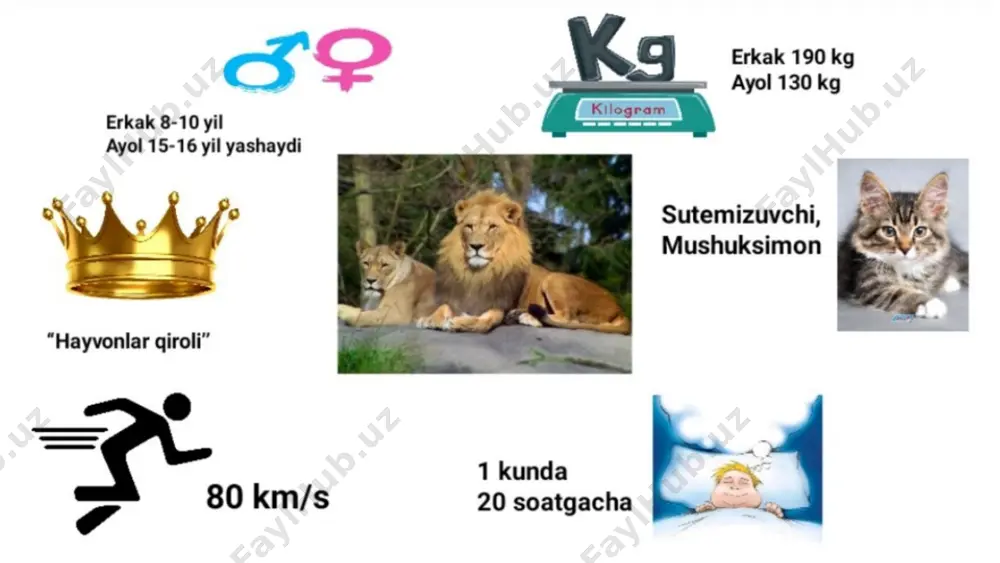 infografika - Page 3