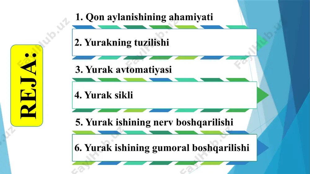 g orqa tutqichi; 16 – yurak bo’shlig’i; 17 – epikard; 18 – miokard; 20 – yurak oldi xaltasi; 21 – pericardial bo’shliq; 22 – reduksiyaga uchrayotgan tutqich (i.v.almazov, l.s.sutulovdan) yurakning tuzilishi yurak qon aylanish sistemasining markaziy organi hisoblanadi. yurak xaltaga o'xshash muskulli organ bo'lib, ko'krak qafasida, to‘sh suyagi orqasida joylashgan. uning ko'proq qismi ko'krak qafasining chap qismida turadi. yurakning kattaligi odam mushtidek keladi. uning massasi erkaklarda 220-300 g, ayollarda 180-220 g bo'ladi. yurakning tuzilishi: a - tashqi ko'rinishi, b – ichki tuzilishi: 1 - aorta yoyi, 2- yuqori kovak vena, 3 - o‘pka arteriyasi, 4 - o'pka venasi, 5 - pastki kovak vena, 6- o'ng bo‘lmasi, 7 - chap bo'lmasi, 8 - tavaqali klapanlar, 9 - chap qorincha, 10- o'ng qorincha. yurak nasos singari qonni qon tomirlariga haydab chiqaradi. tinch turgan odam yuragining yurak qorinchalari bir marta qisqarganda 65-70 ml qonni aortaga chiqaradi. bu yurakning sistolik hajmi deb ataladi. sistolik …