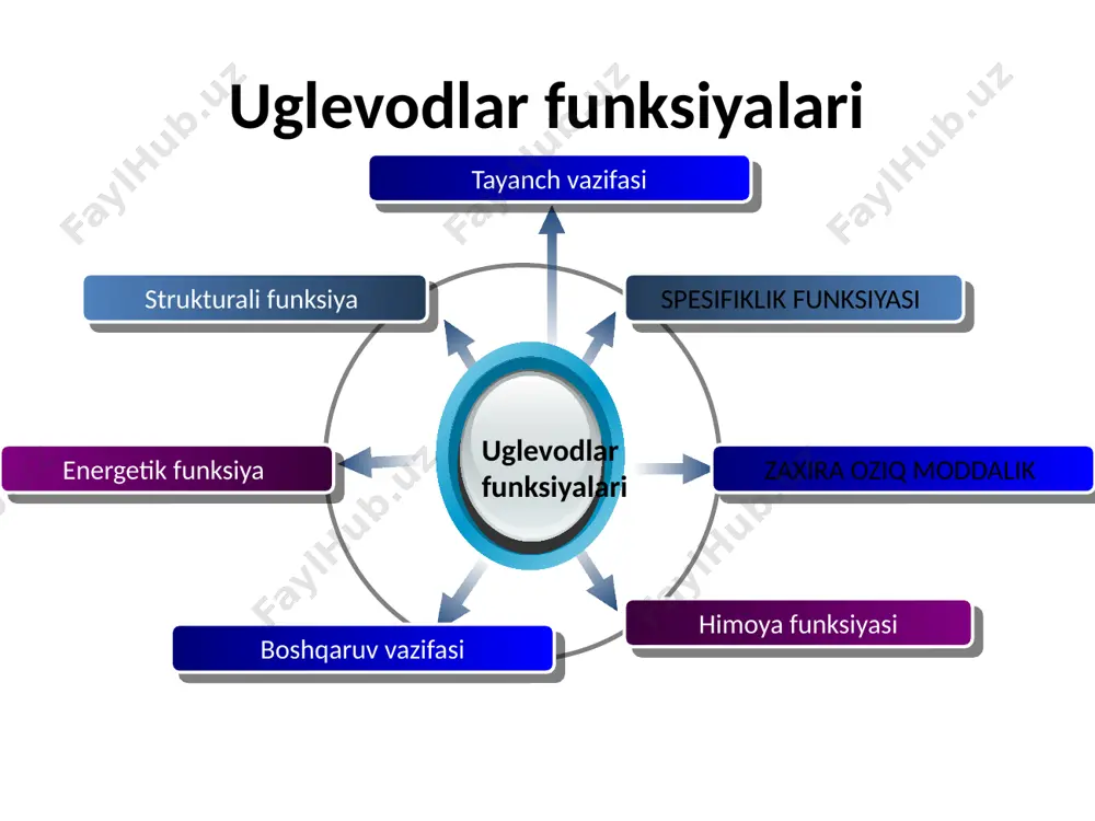 fosfat bajaradi. glikogеnfosforilaza b –fosforillanmagan faol bulmagan shakli. 2 subbirlikdan iborat glikogеnfosforilaza faolligi boshqariladi: - samf yordamida - amf fosforilazaning allostеrik modulyatoridir. amf fosforilaza b bilan birikkanda uning konformatsiyasi ўzgarib, faol shaklga o’tadi. atf amfning birikishini tormozlaydi glikogеn almashinuvining buzilishi glikogеnozlar glyukoza-6-fosfataza (girkе kasalligi) - jigar va buyraklar 1,4-glyukozidaza (pompе kasalligi) – barcha a'zolar amilo-1,6-glikozidaza (kori kasalligi) – jigar, yurak, mushak, lеykotsitlar jigar fosforilazasi (xеrs kasalligi) – jigar mushak fosforilazasi (mak ardl kasalligi) – mushaklar tarmoqlanish fеrmеnti (andеrsеn kasalligi) – jigar, mushak, buyrak, lеykotsitlar aglikogеnozlar udf-glyukoza-glikogеntransglikozilaza glikogenoz xili nuqsonli ferment zararlanadigan a‘zo i. girke kasalligi glyukozo-6-fosfataza jigar, buyraklar ii. pompe kasalligi α-1,4-glyukozidaza (lizosoma glyukozidasi) hamma organlar iii. kori kasalligi amilo-1,6-glyukozidaza jigar, yurak va skelet muskullari, leykotsitlar iv. andersen kasalligi tarmoqlanish fermenti jigar, muskullar, buyraklar, leykotsitlar v. mak-ardl kasalligi muskul fosforilazasi muskullar vi. xers kasalligi jigar fosforilazasi jigar glikogenning turli organlarda jigar, muskul, yurak, buyrak va boshqalarda to‘planib qolishi (parchalanmasligi) glikogenoz …