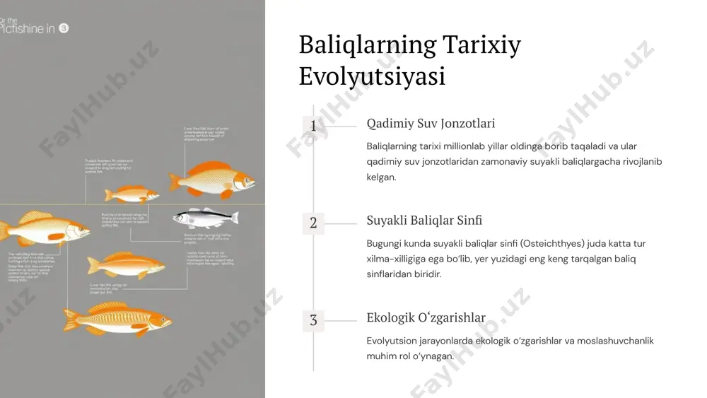 baliqlarning zoogeografiyasi - Page 4