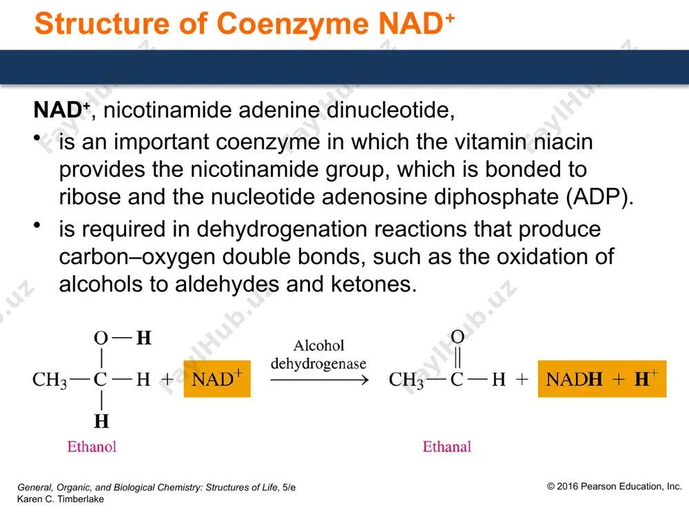 important coenzymes in metabolic pathways - Page 4