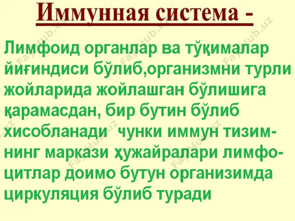 adaptiv immun sistemasi - Page 3