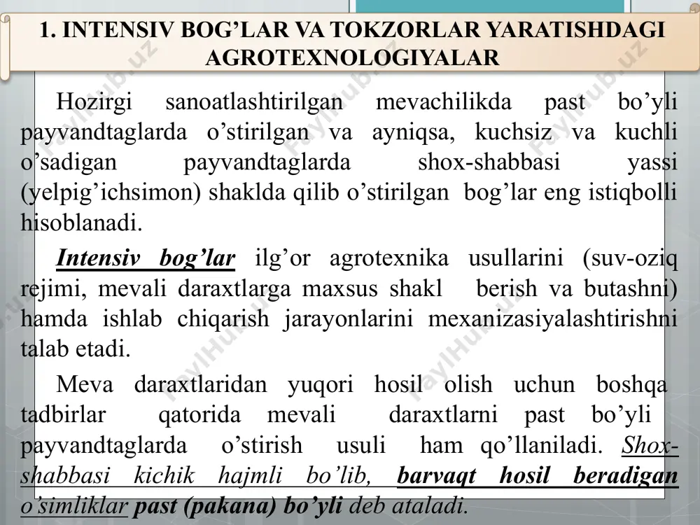 yli payvandtag xizmatini o’taydi. o’rik uchun sibir o’rigi qum olchasi past bo’yli payvandtag bo’la oladi. shaftoli uchun – tog’olcha, bodom, qum olchasi, sibir o’rigi, past bo’yli payvandtag bo’ladi. gilos uchun antipka (magaleb olchasi) va oddiy olcha yarim pakana payvandtag xizmatini o’taydi. *payvandtag — payvandust payvand qilinadigan oʻsimlik yoki uning qismlari. payvand qilingan oʻsimlik ildiz sistemasi mevali daraxt uchun asos vazifasini oʻtaydi. tok ko`chatlari, asosan, qalamchalardan yetishtiriladi. qalamchalar esa, odatda hosilga kirgan va bir qancha navlar ekilgan tokzorlardan tayyorlanadi. qalamchalarning uzunligi odatda 50-60 sm, yo`g`onligi esa kuchli o`sadigan ho`raki va kishmishbop navlarda (xusayni, toyifi, kattaqo`rg`on, nimrang, qizil hurmoni, qora kishmish, oq kishmish va h.k) 6-13 mm., o`rtacha va kuchsiz o`suvchi vinobop navlar (saperavi, bayan shirey, pushti muskat, asl qora, rkatsiteli, venger muskati, kul'djinskiy va h.k.) da 5-10 mm., bo`g`im oralig`i esa 5-15 sm. bo`lishi kerak. maydon kuzda plantaj plugi yordamida 50-60 sm.gacha, yoki oddiy plug bilan 30-35 sm. chuqurlikda haydaladi. yer …