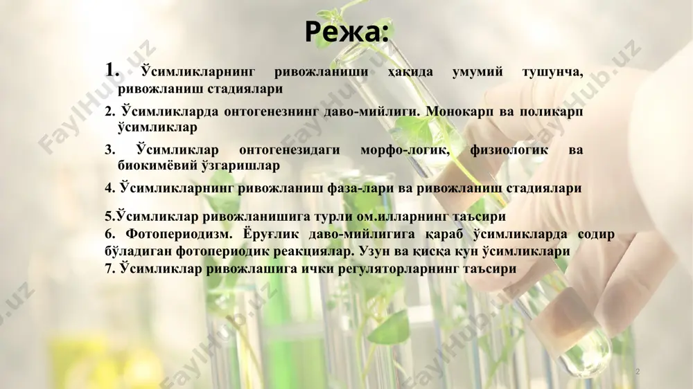 ўла шаклланади ва вегетатив масса тўпланади. ювенил давр бир неча ҳафтадан (бир йиллик ўсимликларда) ўнлаб йилларгача (дарахтлар) давом этиши мумкин. * вояга етилиш ва кўпайиш босқичида ўсимликларда генератив органлар – шоналар, гуллар, уруғлар ва мевалар шакллади. қарилик босқичида ўсимликларда уруғ ва мева ҳосил бўлиши тўхтайди, уларда борадиган физиологик, биокимёвий ва бошқа жараёнлар узлуксиз секинлаша боради ва табиий ўлим билан якунланади. барча бир йиллик, айрим икки йиллик (сабзи, пиёз, карам кабилар) ва жуда кам сонли кўп йиллик (бамбук, мексика агаваси, каврак) гулли ўсимликлар ҳаётида бир марта гуллаб, мева беради ва шундан кейин нобуд бўлади. бундай ўсимликлар монокарп ўсимликлар дейилади. * ҳақиқий эфемерлар эрта баҳорда униб, тупроқда тўпланган намлик ҳисобига ривожланади ва гуллаб, мева ҳосил қилгач нобуд бўлади. кузги намгарчиликдан фойдаланиб унган эфемероидларнинг майсалари қор остида қишлайди ва эрта баҳорда гуллаб, мева ҳосил қилади ва меваси пишгач нобуд бўлади. эфемероидлар кўп йиллик, улар пиёзча, илдизпоя ва илдиз тугунаклари ёрдамида ҳар йили қайта …