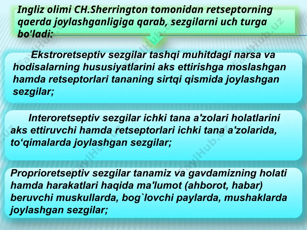 lib, ularning tarkibi tayoqchasimon hujayralardan tuzilgan maxsus ta'm bilish “kurtaklari”ga ega. ta'm bilish so'rg`ichlari til yuzasida bir tekis taqsimlanmaganligi uchun uning orqa qismi achchiqni, uchi shirin mazani, chetlari esa nordon mazani sezadi. image3.jpeg image4.jpeg
