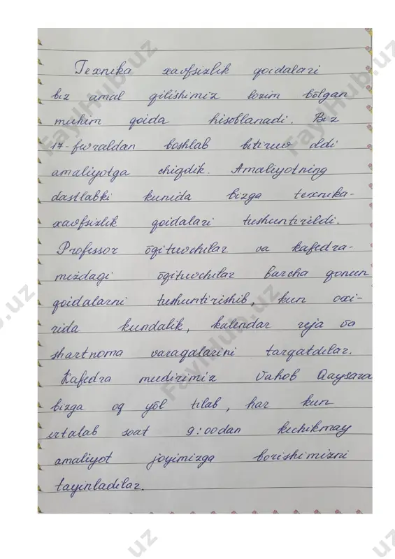bitiruv oldi amaliyoti hisobot - Page 5