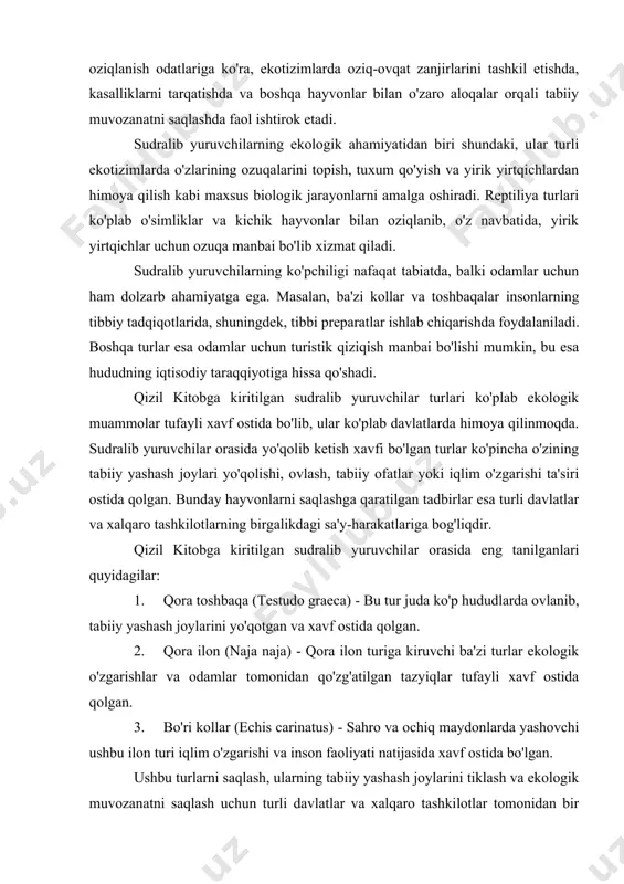 yo'qotgan va xavf ostida qolgan. 2. qora ilon (naja naja) - qora ilon turiga kiruvchi ba'zi turlar ekologik o'zgarishlar va odamlar tomonidan qo'zg'atilgan tazyiqlar tufayli xavf ostida qolgan. 3. bo'ri kollar (echis carinatus) - sahro va ochiq maydonlarda yashovchi ushbu ilon turi iqlim o'zgarishi va inson faoliyati natijasida xavf ostida bo'lgan. ushbu turlarni saqlash, ularning tabiiy yashash joylarini tiklash va ekologik muvozanatni saqlash uchun turli davlatlar va xalqaro tashkilotlar tomonidan bir qator himoya dasturlari ishlab chiqilmoqda. reptiliya turlarining saqlanishi faqat o'zlarining mavjudligi uchun emas, balki umumiy ekosistemalarning barqarorligi uchun ham muhimdir. qizil kitobga kiritilgan sudralib yuruvchi hayvonlar insoniyatning tabiiy resurslar va hayot tarzining ta'siri ostida bo'lgan, ekotizimlarning barqarorligi va tabiiy resurslarni saqlash uchun muhim ahamiyatga ega bo'lgan turlardir. ularning saqlanishi uchun kerakli choralarni ko'rish, nafaqat ular uchun, balki butun tabiiy muhit va hayotiy tizimlar uchun ham zarurdir. ushbu kurs ishining asosiy maqsadi: qizil kitobga kiritilgan sudralib yuruvchi hayvonlar turlarini o‘rganish, …
