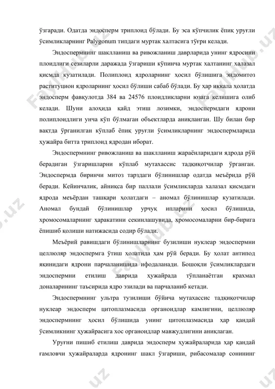 кузатилади. алейрон қаватнинг ҳужайраларида биз юқорида қайд этган ўзгаришлар рўй бермай ундаги органоидлар ўз ҳолича қолади. эндосперм ривожланиши муртак ривожланиши билан параллел равишда ўрганилган. эндосперм марфологияси, кариологияси, заҳира озиқ моддаларнинг гистокимёси, уруғни пишиб етилиш давридаги муртак ва эндосперм тўқимаси орасидаги ўзаро таъсирларнинг аниқ ифодаланган алоқалари, сунъий озиқ муҳити шароитида эндосперм ва уруғни униш давридаги ҳолатлари ўрганилган. эндосперм типлари эндоспермнинг қуйидаги 3 типи фарқланади: (расм). 1. нуклеар эндосперм. 2. целлюляр эндосперм. 3. базаль эндосперм. ядроли ёки нуклеар эндосперм-эндоспермни бирламчи ядроси бўлинишида ҳужайра пўсти ҳосил бўлмайди, бунинг натижасида муртак халтанинг плазмасида алоҳида турадиган кўп миқдордаги эркин ядролар ҳосил бўлиши билан характерланади. расм. эндоспермнинг ривожланиш типлари (схема). (rodkiwicz, 1973); а-ядроли эндосперм, б-ҳужайрали эндосперм, в-helobiae – тип. эндоспермнинг бу босқичидаги ривожланишида ҳосил бўлган ядролар муртак халтаси девори бўйлаб жойлашади. ядроли эндоспермда ценоцит босқичи кузатилиб, ценоцитни ташкил қилган ядролар морфологияси, тузилиши ва хромосома тўплами билан одатда анча фарқланади. бундай хилмахил ядроларни ҳосил бўлишини сабабини т.ф.петрова …
