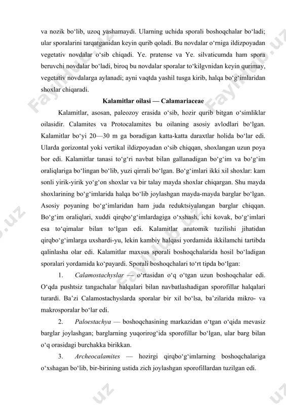 hoxlangan uzun poya bor edi. kalamitlar tanasi to‘g‘ri navbat bilan gallanadigan bo‘g‘im va bo‘g‘im oraliqlariga bo‘lingan bo‘lib, yuzi qirrali bo‘lgan. bo‘g‘imlari ikki xil shoxlar: kam sonli yirik-yirik yo‘g‘on shoxlar va bir talay mayda shoxlar chiqargan. shu mayda shoxlarining bo‘g‘imlarida halqa bo‘lib joylashgan mayda-mayda barglar bo‘lgan. asosiy poyaning bo‘g‘imlaridan ham juda reduktsiyalangan barglar chiqqan. bo‘g‘im oraliqlari, xuddi qirqbo‘g‘imlardagiga o‘xshash, ichi kovak, bo‘g‘imlari esa to‘qimalar bilan to‘lgan edi. kalamitlar anatomik tuzilishi jihatidan qirqbo‘g‘imlarga uxshardi-yu, lekin kambiy halqasi yordamida ikkilamchi tartibda qalinlasha olar edi. kalamitlar maxsus sporali boshoqchalarida hosil bo‘ladigan sporalari yordamida ko‘payardi. sporali boshoqchalari to‘rt tipda bo‘lgan: 1. calamostachyslar — o‘rtasidan o‘q o‘tgan uzun boshoqchalar edi. o‘qda pushtsiz tangachalar halqalari bilan navbatlashadigan sporofillar halqalari turardi. ba’zi calamostachyslarda sporalar bir xil bo‘lsa, ba’zilarida mikro- va makrosporalar bo‘lar edi. 2. paloestachya — boshoqchasining markazidan o‘tgan o‘qida mevasiz barglar joylashgan; barglarning yuqorirog‘ida sporofillar bo‘lgan, ular barg bilan o‘q orasidagi burchakka birikkan. 3. archeocalamites — hozirgi …