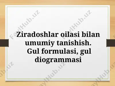 o'simliklar oilasi — PPTX