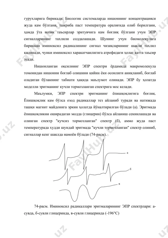 сигналларининг тахлили соддалашади. шунинг учун биомолекулага бириккан иминоксил радикалининг сигнал чизиқларининг шакли тахлил қилинади, чунки иминоксил харакатчанлигига атрофидаги ҳолат катта таъсир этади. нишонланган оқсилнинг эпр спектри ёрдамида макромолекула томонидан нишонни боғлаб олишини қийин ёки осонлиги аниқланиб, боғлаб оладиган бўлакнинг табиати ҳақида маълумот олинади. эпр бу ҳолатда моделли эритманинг кучли тормозланган спектрига мос келади. маълумки, эпр спектри эритманинг ёпишқоқлигига боғлиқ. ёпишқоқлик кам бўлса озод радикаллар тез айланиб туради ва натижада ташқи магнит майдонига эркин ҳолатда йўналтирилган бўлади (а). эритмада ёпишқоқликни оширадаган модда (глицерин) бўлса айланиш секинлашади ва олинган спектр "кучсиз тормозланган" спектр (б), аммо жуда паст температурада худди шундай эритмада "кучли тормозланган" спектр олиниб, сигналлар кенг шаклда намоён бўлади (74-расм). 74-расм. иминоксил радикаллари эритмаларининг эпр спектрлари: а-сувда, б-сувли глицеринда, в-сувли глицеринда (-196°с) 74-расмда кўрсатилганидек, "в" кўринишдаги спектрнинг оқсилда бўлиши, оқсилнинг жуда секин айланишини кўрсатади, спинли нишон оқсилга нисбатан харакат қилмайди, аммо оқсилга мустахкам боғланиб қолган бўлади. бу ҳолат оқсил сиртида нишон …