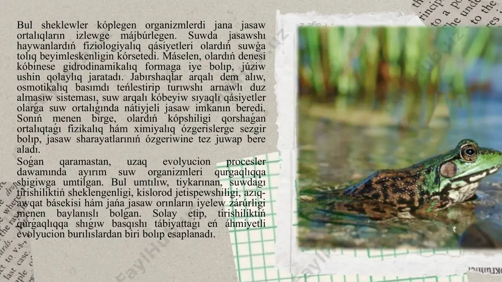 nlar kóbinese belgili bir ekosistemada belgili bir azıq shinjırın quraydı. bul shınjırǵa aman qalıw ushın eń nátiyjeli beyimlesiw talap etiledi. eger azıq shınjırında úzilis yaki resurslar azayıp kece, organizmler jana azıq dereklerin izleydi. bunday jagdayda organizmler jana ortalıqqa kóshiwge yamasa bar ortalıqta jasawdı dawam ettiriw ushin jana minez-qulıq hám fiziologiyalıq beyimlesiwlerdi islep shiģiwga májbúr boladı. azıq shınjırınıń ózgeriwi nátiyjesinde, ayırım túrler jemtiginiń yamasa óz ara básekilesleriniń kóp yamasa az bolıwı menen baylanıslı mashqalalarǵa dus keledi. suw ekosistemasında tek belgili bir túrler ózin rawajlandıra aladı, basqaları bolsa aman qalıw ushın jaña ortalıq izlewge májbúr boladı. ayırım organizmler, misalı, balıqlar, qurgaqlıqta jana azıq-awqat dereklerin tabiw ushin ózgerislerge ushiragan hám sol sebepli evolyucion process dawamında qurgaqlıqta jasawga beyimlesken. genetikalıq izertlewler hám medicinadaǵı jetiskenlikler genscreen kompaniyası ózbekstanda 14 aymaqta 48 metabolik kesellik boyınsha jańa tuwılǵanlardı skriningten ótkeriw boyınsha pilot joybar ámelge asırdı. 2024-jıldıń yanvarınan sentyabrine shekem 29 027 náreste tekserilip, nátiyjede 14 inde beta-oksidleniw …