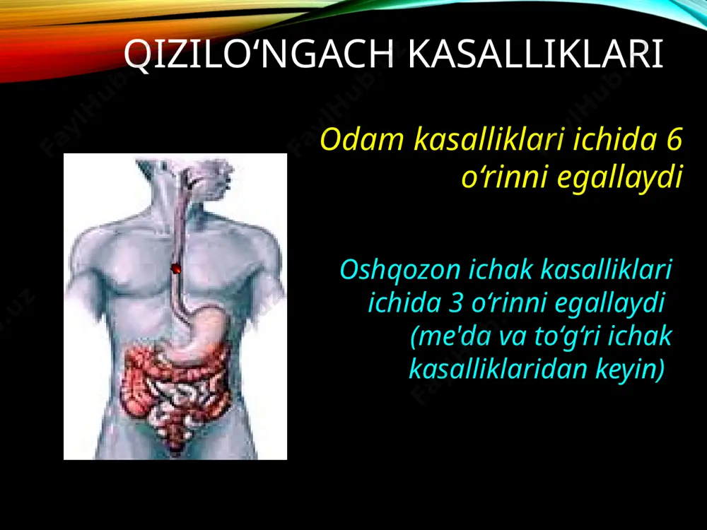 ya shoxlari ko‘krak aortasi shohlari bronxial arteriyalar chap oshqozon arteriyasi yuqoriga ko‘tariluvchi shohi qizilo‘ngach tekshirish usullari rentgenologik tekshirish usuli endoskopik tekshirish usullari radioizotop tekshirish usullari(tashqi va bo‘shliqga kirish bilan) ultratovush tekshirish usuli qizilo‘ngach ichi ph-metriyasi qizilo‘ngach motorikasini tekshirish kompyuter tomografiya qizilo‘ngachni endoskopik tekshirish usuli qizilo'ngach kuyishi - bu agressiv kimyoviy, termik yoki radiaktiv moddalarning bevosita ta'siri natijasida qizilo'ngach to'qimalarining shikastlanishidir. bu jarohat bilan og'rigan bemorlarning taxminan 70%(1-3 yoshli) bolalardir. etiologiyasi qizilo'ngachning eng keng tarqalgan shikastlanishi kimyoviy kuyishdir. qizilo'ngachning kuyishi kontsentrlangan kislota (sirka, xlorid, oltingugurt), gidroksidlar (kaustik soda, natriy gidroksid, natriy gidroksid), boshqa moddalar (etil, fenol, yod, ammiak, lizol, silikat elim, aseton, kaliy permanganat, elektrolitlar) ta'sirida yuzaga kelishi mumkin. klassifikatsiyasi i yengil daraja—shish va giperemiya bilan namoyon bo’lib epitepiyning sirtqi qatlami shikastlanadi.3-4 sutkada hish va giperemiya qaytadi 1-hafta oxirida kuygan sirt epitilizatsiyasi yakunlanadi ii o’rta og’irlikdagi daraja—kislota yoki to;yinmagan ishqorlar ilan kuyishda epiteliy qoplami nekrozi va qo’pol bo’lmagan yengil yechiladigan fibroz …