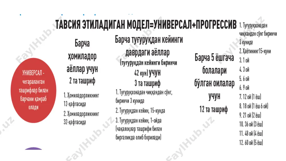 универсал модели бўйича оилага ташриф буюриш режасини ишлаб чиқиш - Page 4
