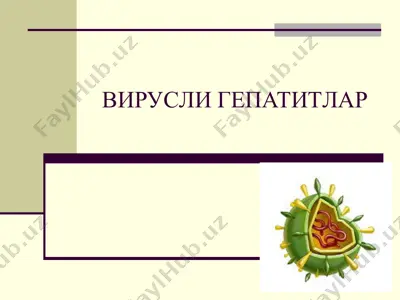 virusli gepatitlar — PPT