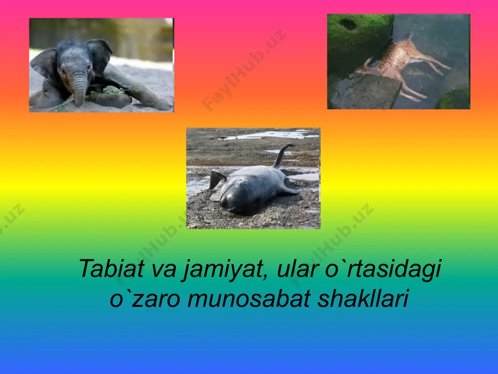 jtimoiy munosabatlarni huquqiy tomondan tartibga solishni o`rganuvchi fonddir. ekologiya huquqi bugungi kunda o`zbekiston respublikasining mustaqil huquq tizimida o`z o`rni va salohiyatiga ega bo`lgan alohida yo`nalish va xususiyatlarga ega bo`lgan huquq sohasi hisoblanadi. bugungi kunda tabiat-jamiyat tizimidagi ijtimoiy munosabatlar uchta quyidagi asosiy yunalishlarda paydo bo`ladi: atrof tabiiy muhitni muhofaza qilish bilan bog`lik ekologik huquqiy munosabatlar; tabiiy resurslardan oqilona foydalanish bilan bog`lik ekologik-huquqiy munosabatlar; aholini ekologik havfsizligini ta'minlashga qaratilgan ekologik huquqiy munosabatlar. asosiy qonunimizning 50, 54, 55 va 100-moddalarida tabiatni muhofaza qilish, tabiiy boyliklarimizdanoqilona foydalanish bilan bog`liq ekologik huquqiy qoida-talablar mustahkamlangandir ekologiya huquqining asosiy manbasi bo`lib o`zbekiston respublikasining konstitutsiyasi hisoblanadi. ekologiya sohasida davlat boshqaruvi ekologiya sohasida davlat boshqaruvi davlat organlari tomonidan atrof-muhitni muhofaza qilish va tabiatda foydalanishni tashkil qilishda namoyon bo`ladi va jamiyatda ijtimoiy boshqaruvning tarkibiy qismi bo`ladi. ehtiyotsizlik oqibatida huquqbuzarlik sodir etilganda, huquqbuzar o`z xatti harakating natijasida salbiy oqibatlarni kelib chiqishini bila turib, ular vujudga kelmaydi deb hisoblaydi yoki zararli oqibatlar …