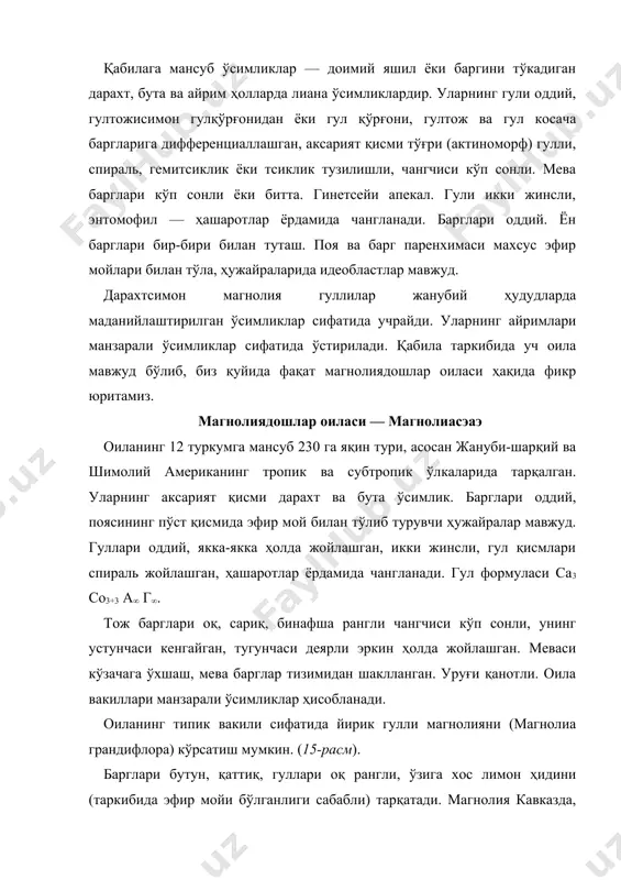 ини (таркибида эфир мойи бўлганлиги сабабли) тарқатади. магнолия кавказда, қримда манзарали ўсимлик сифатида ўстирилади. оиланинг яна бир тури лола дарахти (лилиодендрон тулипифера). бу дарахтнинг баландлиги 60 метрга қадар, барглари тўрт қиррали, гули лола гулига ўхшаш, тўқ сариқ (зарғалдок) рангли. мамлакатимизда бу ўсимлик ҳам жанубий ҳудудларда манзарали ўсимлик сифатида ўстирилади. ёввойи ҳолда лола дарахти жанубий америкада тарқалган. лавргуллилар қабиласи — лауралес. магнолиягуллиларга яқин энг катта қабилалардан бири, унинг 11 оилага мансуб 2700 га яқин тури маълум. аксарият вакиллари дарахт ёки бута шаклидаги ўсимлик. айрим ҳолларда лиана ва баргсиз паразит ўтсимон турлари ҳам учрайди. барглари навбатлашиб (супротив), қарама-қарши ёки, айрим ҳолларда ҳалқа шаклида жойлашган. гул қўрғони тсиклик ёки спираль шаклда, гул коса ва гултож барглари дифференциаллашмаган, деярли эркин. чангчилари чексиз, уруғчиси апокарп, уруғи эндоспермли. лаврдошлар оиласи — лаураcэаэ оиланинг 2000 дан ортиқ тури жанубий америка, жанубий-шарқий осиё ва австралиянинг тропик ва субтропик ўрмонларида тарқалган. лекин ёввойи ҳолда ўсадиган турлар орасида ҳар иккала …