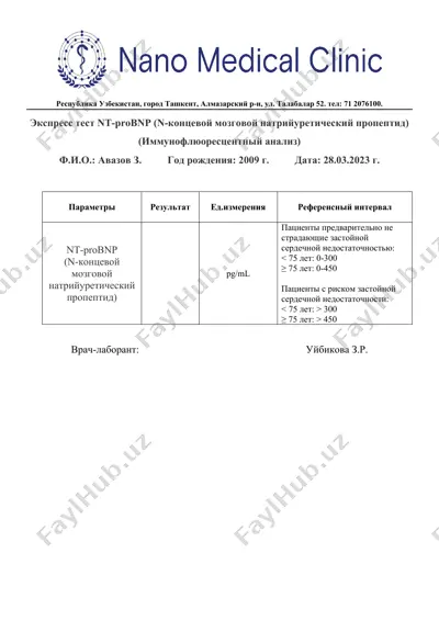 экспресс тест nt-probnp (n-концевой мозговой натрийуретический пропептид) — DOCX