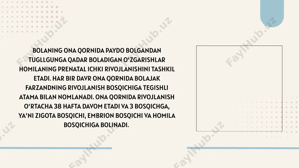 ontogenezning ilk bosqichlari - Page 4