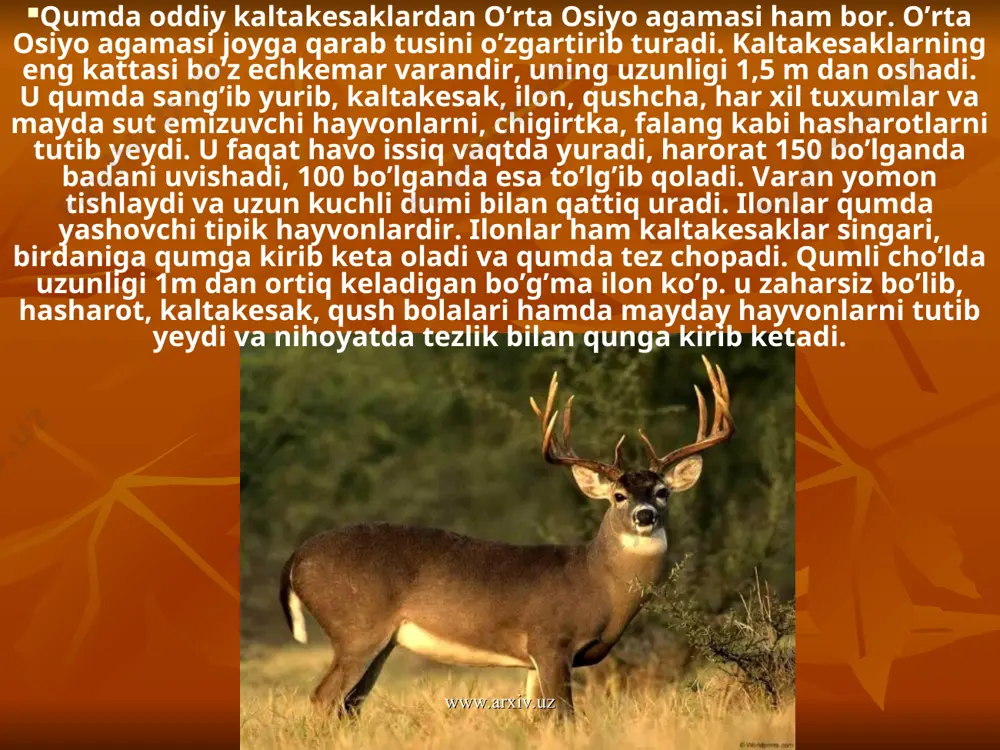 ng qo’ng’ir-malla juni qalin va boshqa o’simliklar orasida mutlaqo bilinmaydi. yo’lbars ilgari amudaryo, vaxsh va ili daryo to’qaylaridagina onda-sonda uchrab turadi. yo’lbars, to’ng’iz va bug’u ovlab hayot kechiradi. to’qay mushugi, botqoq silovsini, qoplon, suv atroflaridagi qalin butazorlarda yashab kechayu-kunduz o’rdak, g’oz, qirg’ovul, quyonlar ovlaydi. to’qaylarda quyon, suv kalamushi, sichqon, chiyabo’rilar, qirg’ovul, ko’ktarg’oz, mayqurt, karqupoq, chumcuq ham nihoyatda ko’p. ba’zi bir qushlar chunonchi, qoravoy qishda afrikaga, janubiy va sharqiy osiyoga, avstraliyaga uchib ketadi. suvli yerlarda o’rdak, g’oz, loyxo’rak, baliqchi, baklan, saqoqush, flamingo nihoyatda ko’p. to’qaylarda qurbaqalar ko’p, chigirtka va chivinlar ham oz emas. esenquli qo’riqxonasining asosiy maqsadi ovlanadigan eng muhim suv parrandalarining qishlashi uchun muvofiq sharoit yaratish va ularni qo’riqlash hamda mamlakatimizda kamdan-kam bo’lgan flamingo, kaklich-to’rach, oqqo’ton, kaspiy tovug’i, eron qirg’ovuli kabi mahalliy qushlar va bilologiyasini o’rganishdan iborat. hayvon va parrandalarni qo’riqlash mobaynida amudaryo davlat qo’riqxonasi tashkil etilgan edi. endi bu qo’riqxonani qaytadan tiklash maqsadga muvofiqdir. www.arxiv.uz www.arxiv.uz yirtqich hayvonlarning qo’ng’ir-malla …