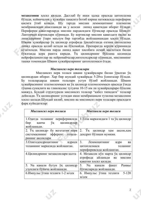 ил қилади. шванн пардаси атрофидаги базал мембрана бу ерда узилмайди. миелин пардасининг ҳосил бўлиши. шванн ҳужайралари аксонни ўраб олади, сўнгра ўсимтанинг ўқ цилиндр атрофида айланади. плазматик мембраналарнинг 2 учлари яқинлашиб, икки мембранали структура-мезаксонни ҳосил қилади. дастлаб бу икки ҳалқа орасида цитоплазма бўлади, кейинчалик у ҳужайра танасига ботиб кириш натижасида перефирик қисмга ўтиб қолади. шу тарзда миелин леммоцитнинг плазматик мембранасидан шаклланади ва у асосан липид қаватидан иборат бўлади. периферик қаватларларда миелин пардасидаги бўғиқлар орасида шмидт- лантерман кертиклари кўринади. бу кертиклар миелин қаватдаги оқсил ва липидларнинг ўзаро маълум бир тартибда жойлашишидан ҳосил бўлади. шванн ҳужайралар ўқ цилиндр атрофида ўралаётганда озгина цитоплазма липид орасида қолиб кетади ва бўялмайди. препаратда кертик кўринишда кузатилади. миелин парда липид қават хисобига осмий кислотаси билан бўялганда қора рангга киради. ўқ цилиндрнинг бўйлама кесимида нейрофиламентлар ва нейронайчалар,митохондрялар кўринади, миелиннинг ташқи томонидан шванн ҳужайраларнинг цитоплазмаси ётади. миелинсиз нерв толалари миелинсиз нерв толаси шванн ҳужайралари билан ўралган ўқ цилиндрдан иборат. хар …