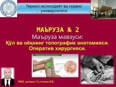 қўл ва оёқнинг топографик анатомияси — PPTX