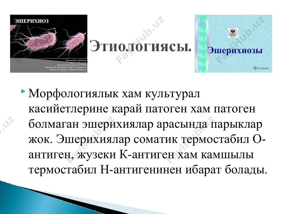 нбек хам коз алмалары баткан болады. теринин агарыуы, мармарга уксас, периорбитал цианоз хам акроцианоз, силекей кабатлардын кургаклыгы, тахикардия, журек ушында систолик шаукым, журек дауысларынын кушсизлениуи, гипотермия, олигоанурия аныкланады . энтеропатоген эшерихиоздын септик формасы жана тууылган нарестелерде хам ерте жаслы ауырласкан преморбид фон (шала тууылыушылык, гипотрофия, диатез) га ийе балаларда гузетиледи. наукасларда тураклы кусыу, септик ысытпалау, дене салмагынын кемейиуи, ишек дисфункциясы фонында иринли инфекция ошаклары аныкланады. кеселлик характерленген токсикоз белгилери, гемодинамикалык бузылыулыр, гепатоспленомегалия, анемия, дистрофия менен кешеди. кеселликтин билинер-билинбес формасы 1 жастан улкенирек балаларда гузетиледи. клиникалык белгилери кушсиз коринеди. нормал ямаса субфебрил дене температурасы фонында кунине 2-4 марта келиуши суйыкланган дарет хам иштейинин пасейиуи аныкланады. ишек дисфункциясы 2-4 кун дауам етеди. кеселликтин симптомсыз (инаппарант) формасы клиникалык белгилеринин болмауы менен ажыралып турады. диагноз эпидемиологиялык хам лабораториялык маглыуматларга тийкарланып койылады. транзитор бактерия тасыушылык клиникалык симптомлар жоклыгы хам терис (-) серологиялык тексериу натийжелери бар болган уактында дизимге алынады. кеселликтин ауырлык дарежесине карап женил, орта …