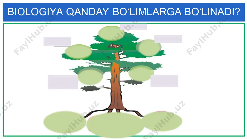 qanday bo‘limlarga bo‘linadi? - Page 2