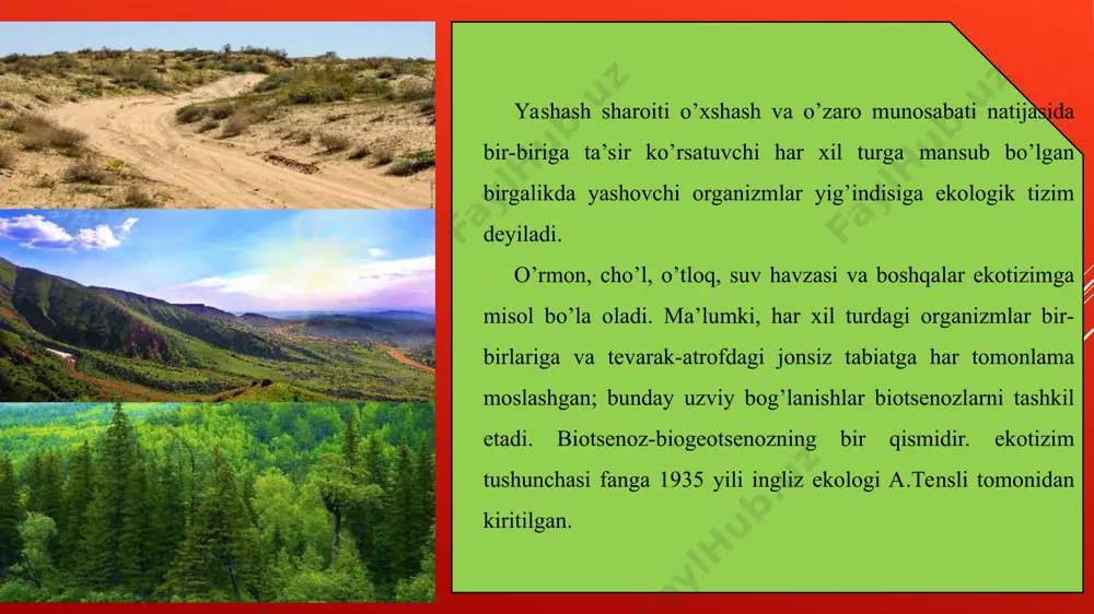 tabiiy ekosistemalarda biologik muvozanat va suksessiya, uning axamiyati va buzilish sabablari - Page 4