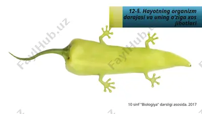 hayotning organizm darajasi va uning o‘ziga xos jihatlari. 10 - sinf — PPTX