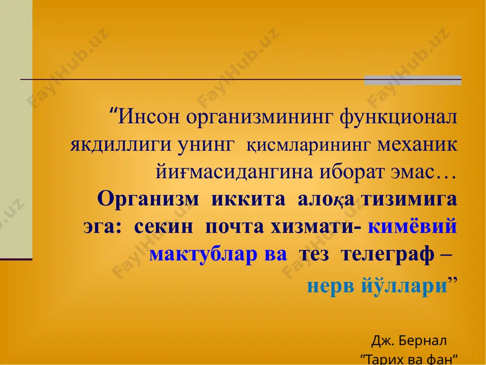 й безлар гормонлари, простогландинлар, витамин д • аминокислота унумлари - катехоламинлар, гистамин, қалқонсимон без йод сақловчи гормонлари, серотонин ва бошқалар гск ар ядро цитоплазма рецептор плазматик мембрана ирнк оқсил синтези самара днк стероид гормонлар таъсир механизми гск - глобулин, связывающий глюкокортикостероиды; ар - активированный фактор аденилатциклаза г о р м о н л а р цамф пептид ва аминокислота табиатли гормонал препаратлар таъсир механизми к и н а з а л а р мембрана ўтказувчанлиги гликогенолиз липолиз секреция оқсил синтези ионлар ҳаракати механик эффектлар gi gs гормонал препаратлар таснифи (эндокрин безлар бўйича) гипоталамус ва гипофиз гормонал препаратлари қалқонсимон ва қалқонсимон олди безлари гормонал препаратлари буйрак усти бези (буб) гормонал препаратлари меъда ости бези гормонал препаратлари эркак (а) ва аёл (б) жинсий аъзолари гормонал препаратлари г о р м о н а л п р е п а р а т л а р эркак ва аёл жинсий безлари ва анаболик …