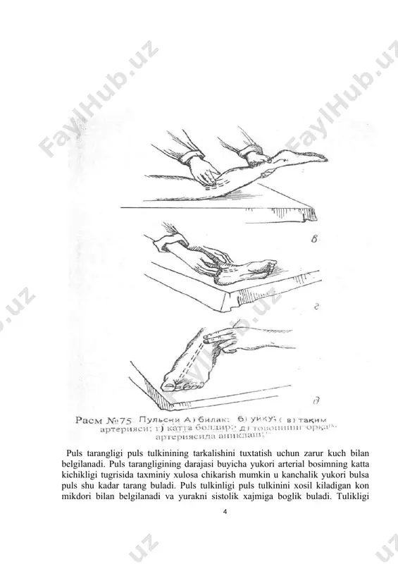 garish yanada sezilarli bo‘ladi. perikarditda, yurak oldi xaltasiga suyuqlik yig‘ilganda ham shunday manzarani kuzatish mumkin. ko‘rish jarayonida yana uyqu arteriyasini pulsatsiyasini (uyqu arteriyasining kuchli pulsatsiyasiga «karotid paqci» deyiladi) hamda bo‘yin venalarining bo‘rtib turishini kuzatish mumkin. odatda sog‘lom bolalarda uyqu arteriyasini kuchsiz pulsatsiyasi kuzatiladi pulsatsiyani kuchli bo‘lishi aorta klapanining yetishmasligida kuzatiladi. bo‘yin venalarining bo‘rtishi va pulsatsiyasi asosan patologik holatda uchrab, qon tomirda, o‘ng bo‘lmachada dimiqish mavjudligini ko‘rsatadi. bo‘yin venasini pulsatsiyasi uch tabaqalik klapanning yetishmovchiligida uchraydi. arterial pulsni tekshirish puls deb tomir devorining yurak xaydaydigan kon xarakati natijasida kelib chikadigan turtkisimon tebranishlariga aytiladi. chap korincha tomonidan aortaga ritmik xaydaladigan kon arterial okim ichida tebranishlar xosil kiladi, arteriyalar devorining chuzilishiga va kuchayishiga olib keladi. puls uning chastotasi, ritmi, tarangligi va tulikligi bilan belgilanadi. puls arteriyalar yuza joylashgan va bevosita paypaslash yuli bilan kulay joylarda tekshiriladi. puls paypaslash joyi bilak arteriyasidir. puls odatda bilakning kaft yuzasida i barmok asosida bilak arteriyasi aniklanadi. (rasm 75). …