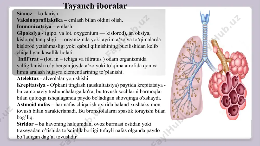 shinuvining buzilishi natijasida barcha organlarda gipoksiya yuzaga keladi. patogenezi. o’choqli pnevmoniya - o’pkaning eng ko’p uchraydigan yallig’lanish turi bo'lib, erta yoshdagi bolalarda, maktabgacha va maktab yoshidagi bolalarda turli hil kechadi. segmentar pnevmoniya. o’choqli pnevmoniya bir yoki bir necha segmentni egallasa segmentar pnevmoniya deb ataladi. krupoz pnevmoniya – o’pka bo’laklari zararlanadi. bolalarda krupoz pnevmoniyada o’pkaning barcha bo'laklari ham zararlanmaydi, yallig’lanish o ’choqlari bir nechla segmentlarda bo’lishi mumkin. bolalarda krupoz pnevmoniya o ’ng o’pkaning yuqori va pastki qismida joylashadi. interstitsial pnevmoniya - o'pka to'qimalarining surunkali kasalligi bo'lib, alveolar devorlarini yallig’lanish bo’ladi. nafas qisilishi interstitsial o'pka kasalligining o'ziga xos belgisidir. o'pka interstitsial kasalliklarining aksariyati o'pka fibroziga olib keladi. interstisial pnevmoniya bolalarda kam uchraydi, o’tkir pnevmoniyaning 1 % ni tashkil etadi. klinikasi: intoksikotsion sindrom - 3 kun va undan ko’proq vaqt davomida febril harorat 38 c va undan yuqori, toksikozlar, ishtahaning yo’qligi, holsizlik, adinamiya yoki qo’zg’olish, uyquning buzilishi, charchoq hisi, rangparlik, taxikardiya. respirator sindrom …