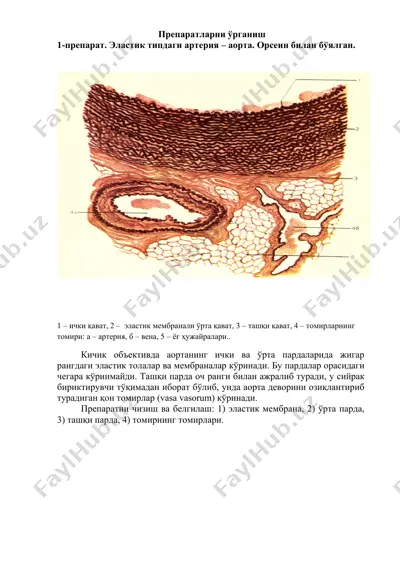 arteriya preplari — DOCX