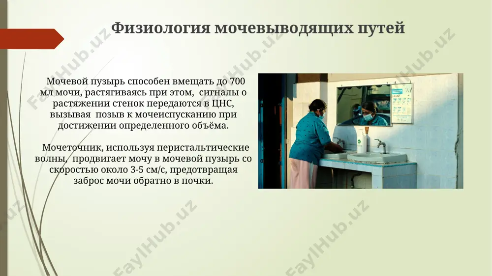 заболевания мочевого аппарата - Page 5