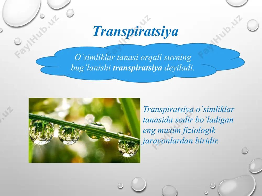 kengroq bushliqlar suv almashinishi va bug’lanishi uchun qulaylik tug’diradi. suvdan unumli foydalanish o`simlik organizmining eng muxim xususiyatlaridan biridir. bu xususiyat ma`lum miqdorda quruq modda hosil qilish uchun sarflangan suv miqdori bilan belgilanadi va trans­piratsiya koeffitsienti deb ataladi. adabiyotlar: 1. биотехнология. принципы и примениние м: «мир» 1988. 2. грачева и.м. технология ферментьных препаратов. м: «наука» 2000. 3. маурер г. «диск электрофорез м. «мир» 1971. 4. детерман г. гель хроматография м. «мир» 1982. 5. биотехнология. принципы и примениние м: «мир» 1988 image10.png image11.png image12.jpeg image13.jpeg image14.jpeg image15.jpeg image16.jpeg image17.jpeg image18.jpeg image19.jpeg image1.jpeg image2.jpeg image3.jpeg image4.jpeg image5.jpeg image6.jpeg image7.jpeg image8.jpeg image9.png