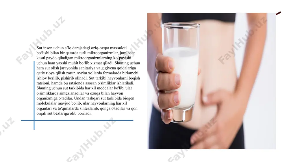 iq-ovqat mahsuloti bо‘lishi bilan bir qatorda turli mikroorganizmlar, jumladan kasal paydo qiladigan mikroorganizmlarning kо‘payishi uchun ham yaxshi muhit bо‘lib xizmat qiladi. shuning uchun ham sut olish jarayonida sanitariya va gigiyena qoidalariga qatiy rioya qilish zarur. ayrim hollarda fermalarda birlamchi ishlov berilib, pishirib olinadi. sut sanoati korxonalari tami buzilgan, achib qolgan, piyoz yoki sarimsoq hidi kelib turgan sutni qabul qilmaydilar. bunday sut yuqori sifatli maxsulotlarni ishlab chiqarish uchun yaramaydi. sutga belgilangan xarid narxlari uning sifatiga qarab tabaqalashtirilgan. shuning uchun ham qishloq xо‘jalik fermer korxonalari sut sifatini yaxshilashdan manfaatdordir. korxonananing turidan qat’iy nazar sutli sisternalar qabul qilinishidan oldin, laboratoriyada mazasi, rangi, hidi, kislotaliligi, yog‘ va oqsil moddasi kabi asosiy kо‘rsatkichlari hamda bakterialar bilan ifloslanganlik darajasi aniqlanadi. bunda sutning moyliligi 3,2% dan kam bо‘lmasligi va kislotaliligi 200t (terner) dan yuqori bо‘lmasligi shart. ana shu kо‘rsatkichlar asosida xulosa qilinib, agar belgilangan gost talabiga tо‘g‘ri kelmasa, sut egasiga qaytariladi. laboratoriya xodimlari korxonadagi barcha sexlarning ishini …