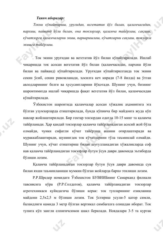5 та куртак қолдириб кесилади. токни кесишда 140-150 та куртак қолдирилади. тўпгул пайдо бўлгандан сўнг, ҳосилсиз ортиқча новдалар хомток қилиб ташланади. қўлтиқ новдалар ўсган сари хомток қилинади. яшиллигида новдалар симбағазга бир текис таралади. бунда ер яхшилаб ишланиши лозим, бундай агротехника ток новдаларининг тез ўсишини ва гектаридан 150 мингтагача қаламча олишни таъминлайди. . ўзбекистонда қаламчалар кузда бир йиллик новдалар пишгандан сўнг ёки эрта баҳорда ток уйғонгунга қадар тайёрлаш мумкин. агар ток қишда кўмилса, қаламча кузда ток кесиш билан бир вақтда тайёрланади. қаламчалар соф навли кўчатлар етиштириладиган токзорларда стандарт навлардан, касалланмаган ва зараркунандалар шикастламаган токларнинг яхши пишган бир йиллик новдаларидан тайёрланади. новдаларнинг юқориги, жуда ингичка, ёмон пишган қисмидан қаламча тайёрланмайди. ҳосил бермайдиган новдалардан бу мақсад учун фойдаланиб бўлмайди. қаламчаларнинг узунлиги 50-60 см, винобоп навларда қаламча диаметри 8-10 мм, хўраки ва кишмиш навларда эса 10-15 мм бўлиши керак. бўғим оралиқлари 6 дан 12 см гача бўлади. тайёрланган қаламчалар қўлтиқ новдалардан, жингалаклардан ва узум …