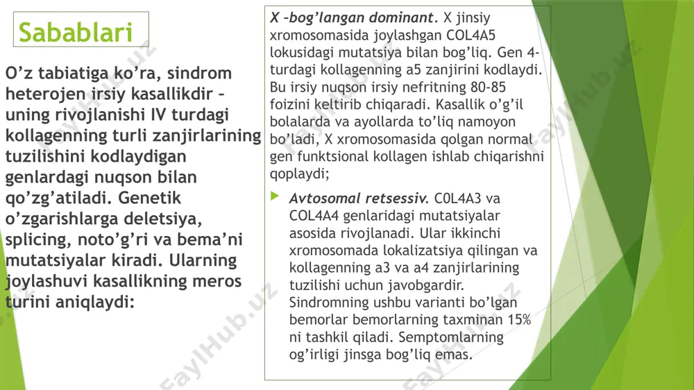 n boshlab proteinuriyani kamaytirish uchun faol simptomatik davolash amalga oshiriladi. bu buyrak kanalchalarining shikastlanishi va atrofiyasi va interstitsial fibroz rivojlanishining oldini olishga yordam beradi. angiotensin-konvertatsiya qiluvchi ferment ingibitorlari va angiotensin ii retseptorlari blokerlari yordamida kasallikning rivojlanishini to’xtatish, glomerulosklerozning regressiyasiga, buyraklardagi tubulointerstitial va qon tomir o’zgarishlariga erishish mumkin. oxirgi bosqich surunkali buyrak etishmovchiligi bo’lgan bemorlarga gemodializ , peritoneal dializ buyuriladi va buyrak transplantatsiyasining maqsadga muvofiqligi masalasi hal qilinadi . prognoz va profilaktika proteinuriyasiz gematuriya sodir bo’lgan, ko’rish va eshitish qobiliyatini yo’qotmagan hollarda sindrom prognostik jihatdan qulaydir. bundan tashqari, ko’pchilik ayollar uchun prognoz yaxshi – gematuriya bilan ham kasallik asta-sekin o’sib boradi va umumiy holatni yomonlashtirmaydi. patologiyaning irsiy xususiyati tufayli uning rivojlanishining oldini olish mumkin emas. sindromning x-bog’langan shakli mavjudligi aniqlangan oilalarda prenatal tashxis qo’yish mumkin. genetika tekshiruvi, ayniqsa, o’g’il bolalarni ko’targan ayollar uchun tavsiya etiladi. e’tiboringiz uchun rahmat !!! image1.jpeg image2.jpeg image3.jpeg image4.jpeg /docprops/thumbnail.jpeg