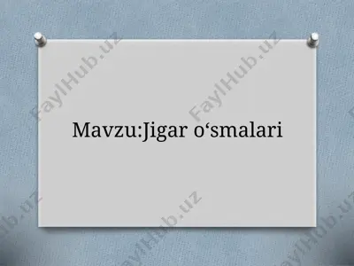 jigaroʻsmalari — PPTX