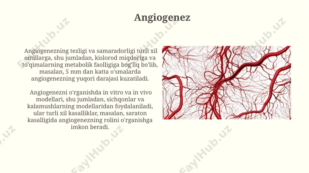 qon tomirlar - Page 4